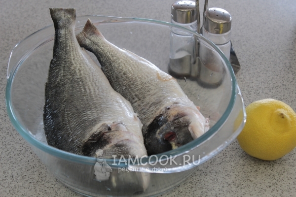 Ingredienser til fisk på grillen