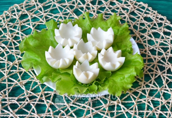 Campurkan daun salad protein