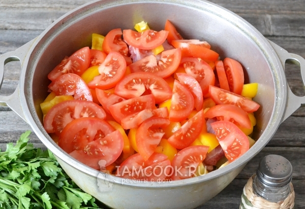 Viršutinis Haslamos sluoksnis - pomidorai