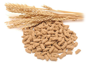 Buğday kepeği fotoğraf