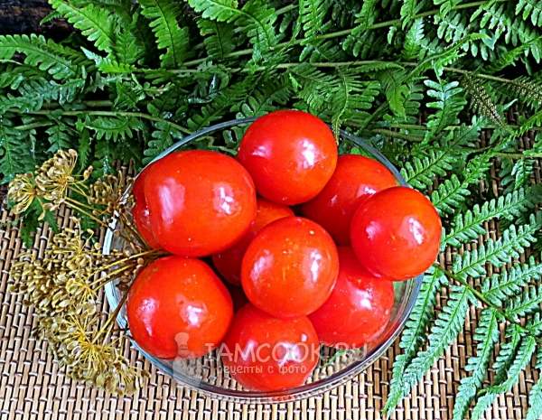 Oppskrift på salte tomater i bokser som en fat