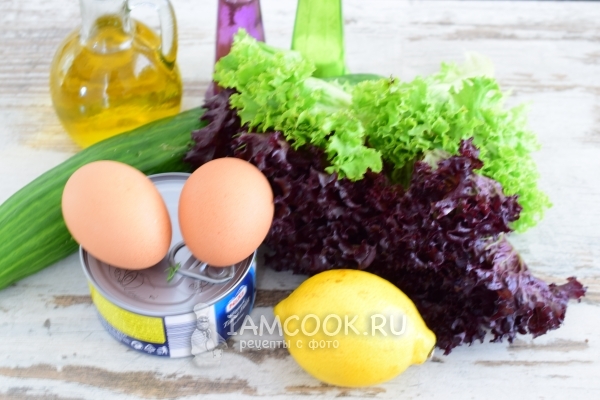 Ingrediënten voor salade met ingeblikte tonijn, komkommer en ei