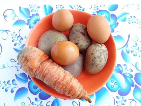 Ferva cenouras, batatas e ovos