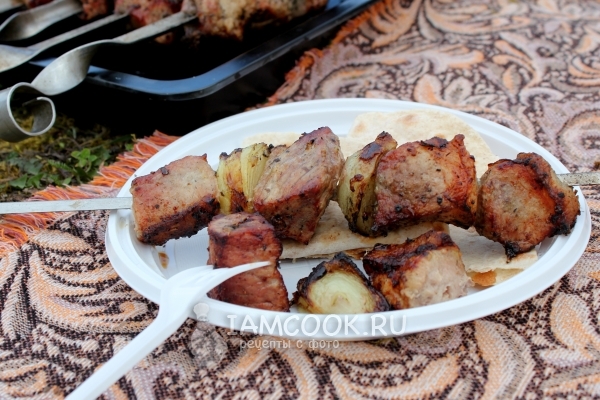 아르메니아 마리 네이드의 양파와 함께 돼지 고기에서 shish 케밥의 조리법