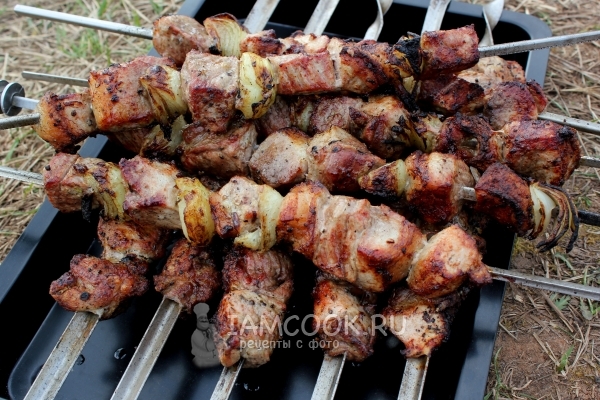아르메니아 마리 네이드에 양파와 돼지 고기에서 shish 케밥의 사진