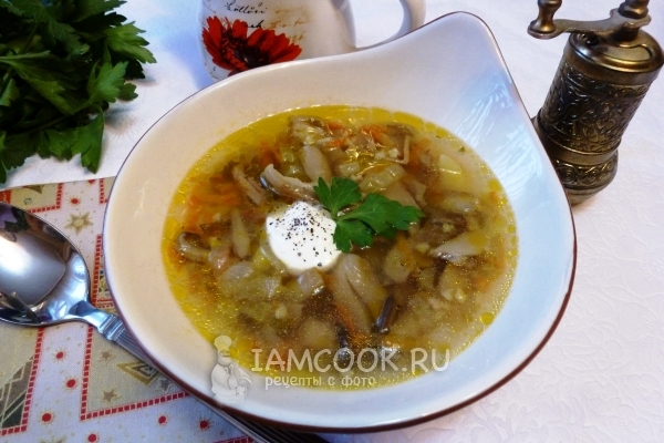 Zdjęcie zupa grzybowa z solonych grzybów