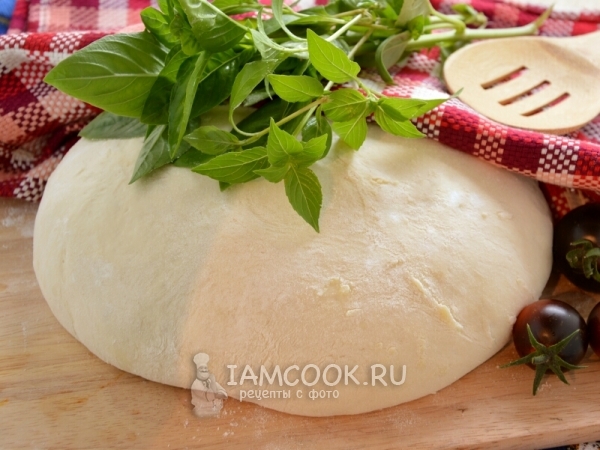 Gambar adunan untuk pizza dan focaccia dalam pembuat roti