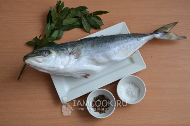 Ingredientes para atum em suco próprio