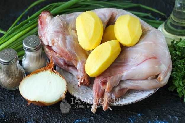 Ingredientes para coelhos domésticos cozidos com batatas