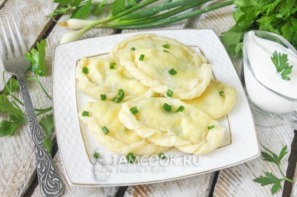 Foto av dumplings med cottage cheese og grønn løk