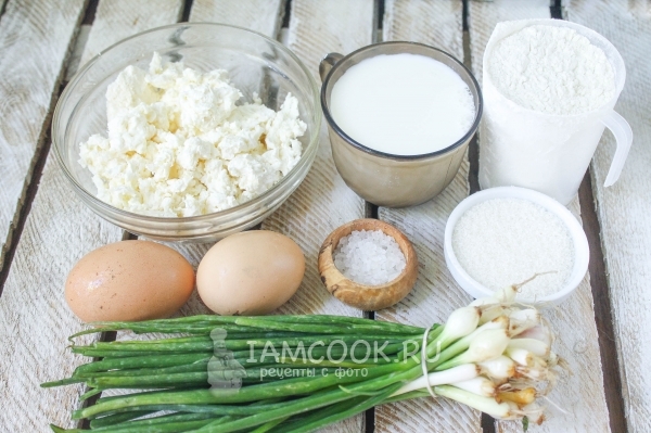 Ingredienser til dumplings med cottage cheese og grønne løk