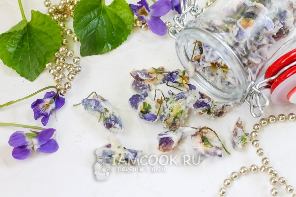 Fotos de violetas cristalizadas