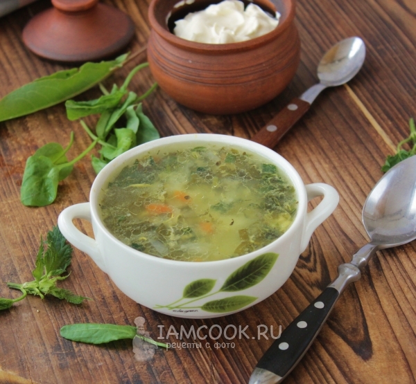Grønn kål suppe med nässel og sorrel
