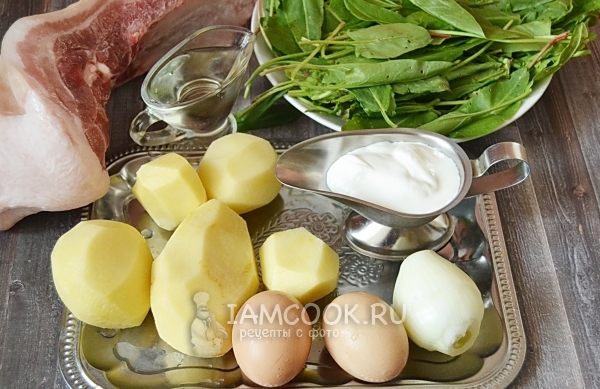 Ingrediënten voor groene borsch in multivark